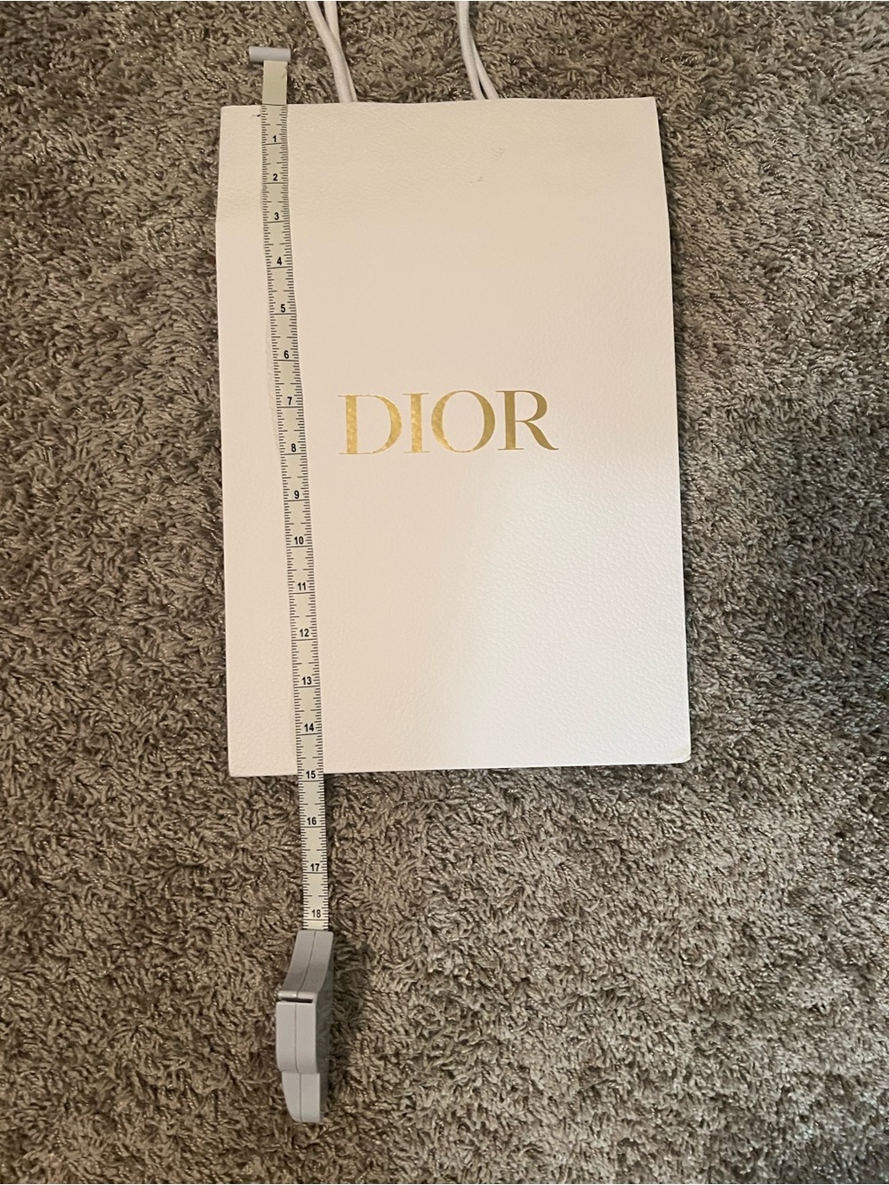Dior retail shopping bag